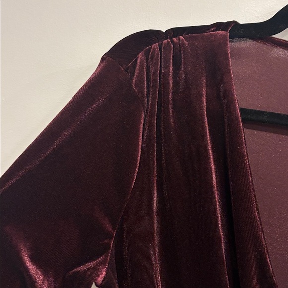 Dex Burgundy Velvet Top - Picture 3 of 11
